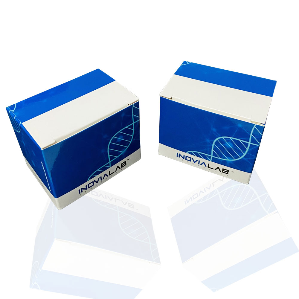 INOGene FV 1299 Cambrigde RT-qPCR Kit